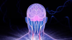 Сосуды Головы: матрица 2025 Петра Петровича Гаряева обновлённая оригинальная улучшенная NEW 2025