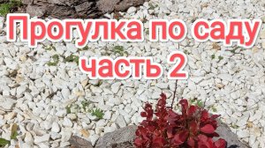 Прогулка по саду часть 2