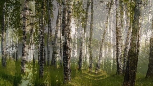 БЕРЕЗОВЫЙ СОК 3. Соло под минусовку(тональность-1) ВИА П смотреть онлайн