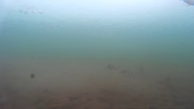 Подводное видео. 6 апреля 2017 года. смотреть онлайн