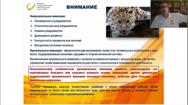 Введение в специализацию «Триатлон» 27.05 1 часть