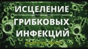 Исцеление от Грибковых Инфекций*Лечебные Частоты🔆доктора Р. Райфа*Исцеление Звуком