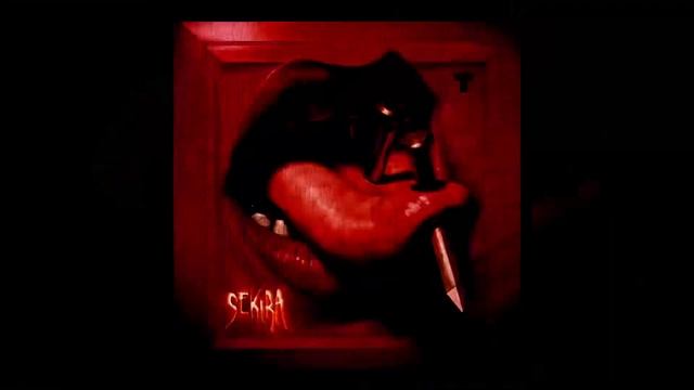 Гарри Топор – SEKIRA (2025)