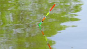 КАРАСИ ПОД НОГАМИ РЫБАЛКА НА ПОПЛАВОК ЛОВЛЯ ВЕСЕННЕГО КАРАСЯ