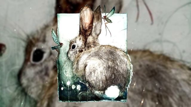 Harpy Hare / Yaelokre / Speed Up / песня ускорена,тест и перевод в описании ♥