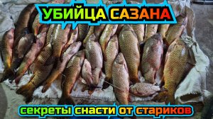УБИЙЦА САЗАНА Макушатник. СЕКРЕТЫ СТАРИКОВ. Фишки при ловли ДИКОГО САЗАНА. ПОДРОБНЫЙ РАЗБОР снасти