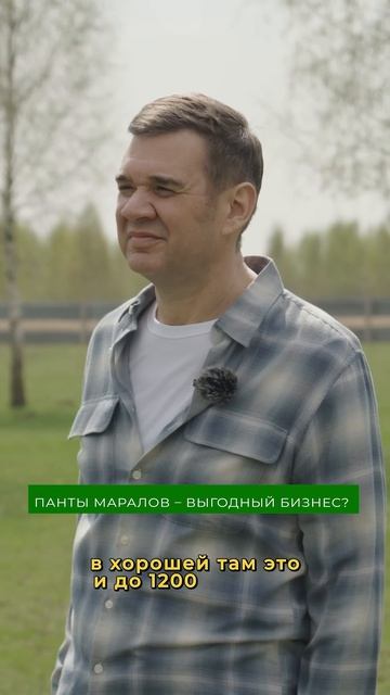 Оленьи рога - ЗОЛОТАЯ ЖИЛА? Правда или миф смотреть онлайн