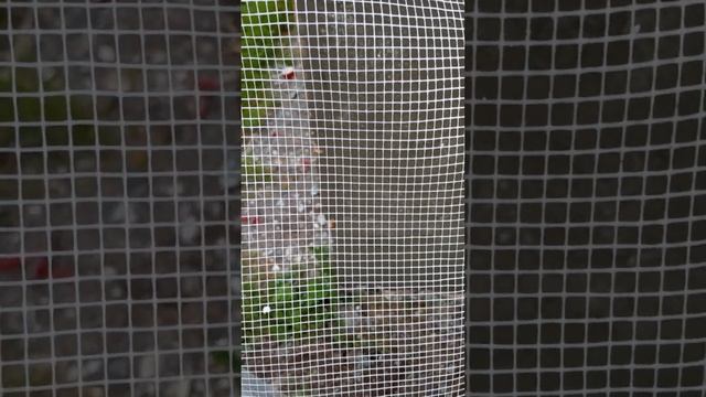 Фасад/Цоколь/Углы  Архитектурный бетон (камень)