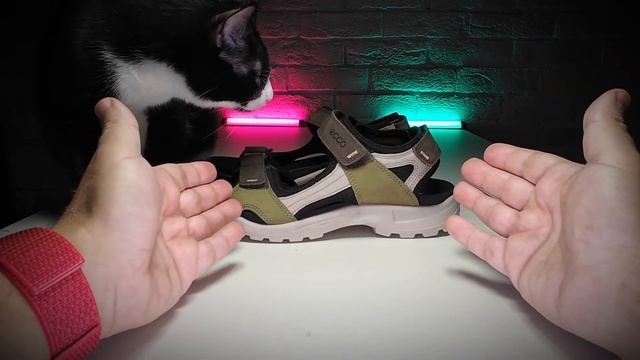 Мировой ТОП 3 / Birkenstock / ecco / crocs смотреть онлайн