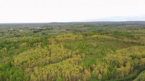 Осеннее настроение