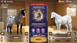 Смотрим обновление по разведению 🦓 ВЫВЕЛА ЗЕБРУ в Star Equestrian Horse Ranch