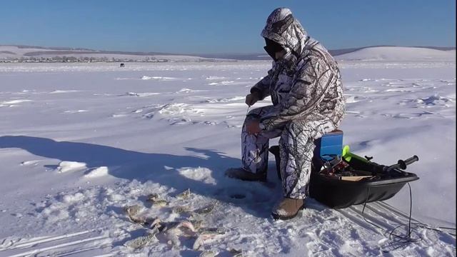 Ловля окуня 22.11.16 год. 3-я лунка. смотреть онлайн