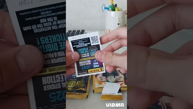 распоковка покетиком панини