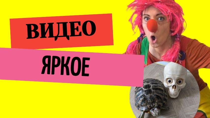 Яркое видео