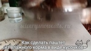 Как сделать паштет из влажного корма для котят в виде ?