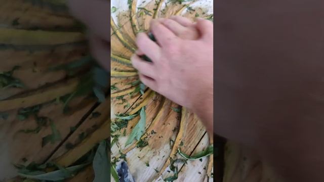 Иван чай скрутка листа ручным способом, на солнечном д