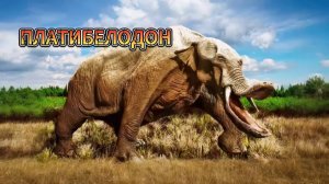 Платибелодон. Исчезнувший слон с лопатой в нижней челюсти. Вымершее животное