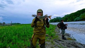 ЭТО ОЗЕРО ЗАКОЛДОВАНО второй год меня облавливают, мелкая щука лютует