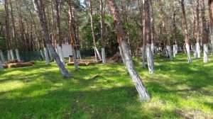 ГЕЛЕНДЖИК! ОТДЫХ ПОД ОТКРЫТЫМ НЕБОМ. ВЫ ДАВНО ПРОСИЛИ ТАКОЕ. КЕМПИНГ ПАПИН ЛАГЕРЬ
