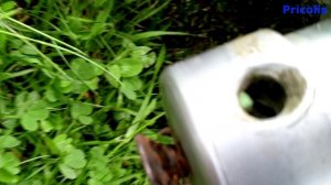 Как поменять леску на триммере Чемпион