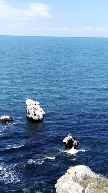 Бакланы. смотреть онлайн