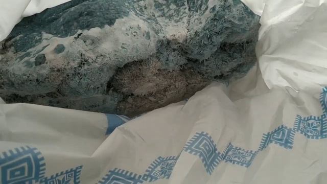 ЗАМОРОЗИЛА ВЯЗАНЫЙ ДЖЕМПЕР ЧТО ПОЛУЧИЛОСЬ?  Джемпер крючком #джемперскруглойкокеткой #круглаякокетк