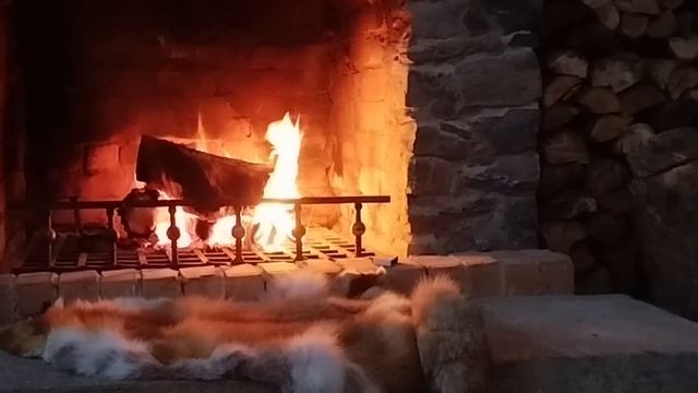 *Когда свекровь в очередной раз пришла без предупрежд?