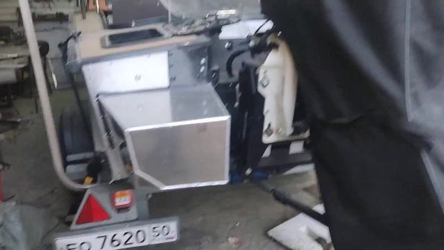 Кринобули на Прогресс . Купить.