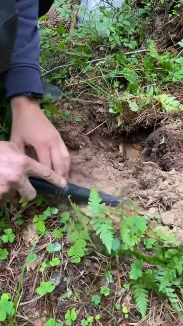 🤫 #metaldetector #металлоискатель #находки #коп #minelab #поискм? смотреть онлайн