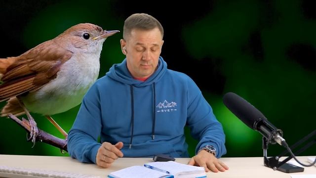 ПРИЗНАЮСЬ! Я НЕ ЮРИСТ! | БАНКРОТСТВО | Кузнецов | Аллиам смотреть онлайн