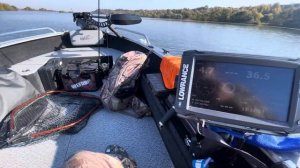 Girgis 390 с Tohatsu 30D мультирумпель. Идём 50+😎!