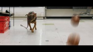 ПИТОМЕЦ ЮРСКОГО ПЕРИОДА/СУПЕР ФИЛЬМ/Классная комедия