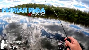 Весенний мормышинг с бонусными диковинными "зверями". Наноджиг Ультралайт