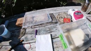 9 сентября - Салфетки от клеща с амитразом и пихтой.