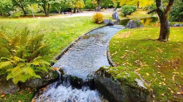 Нежная моя.Михаил Мотышев смотреть онлайн