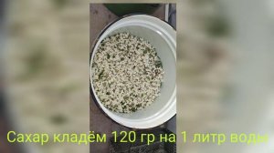 Вкусный, ароматный, квас из цветков акации.