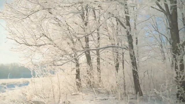 БЕЛАЯ ЗИМА.