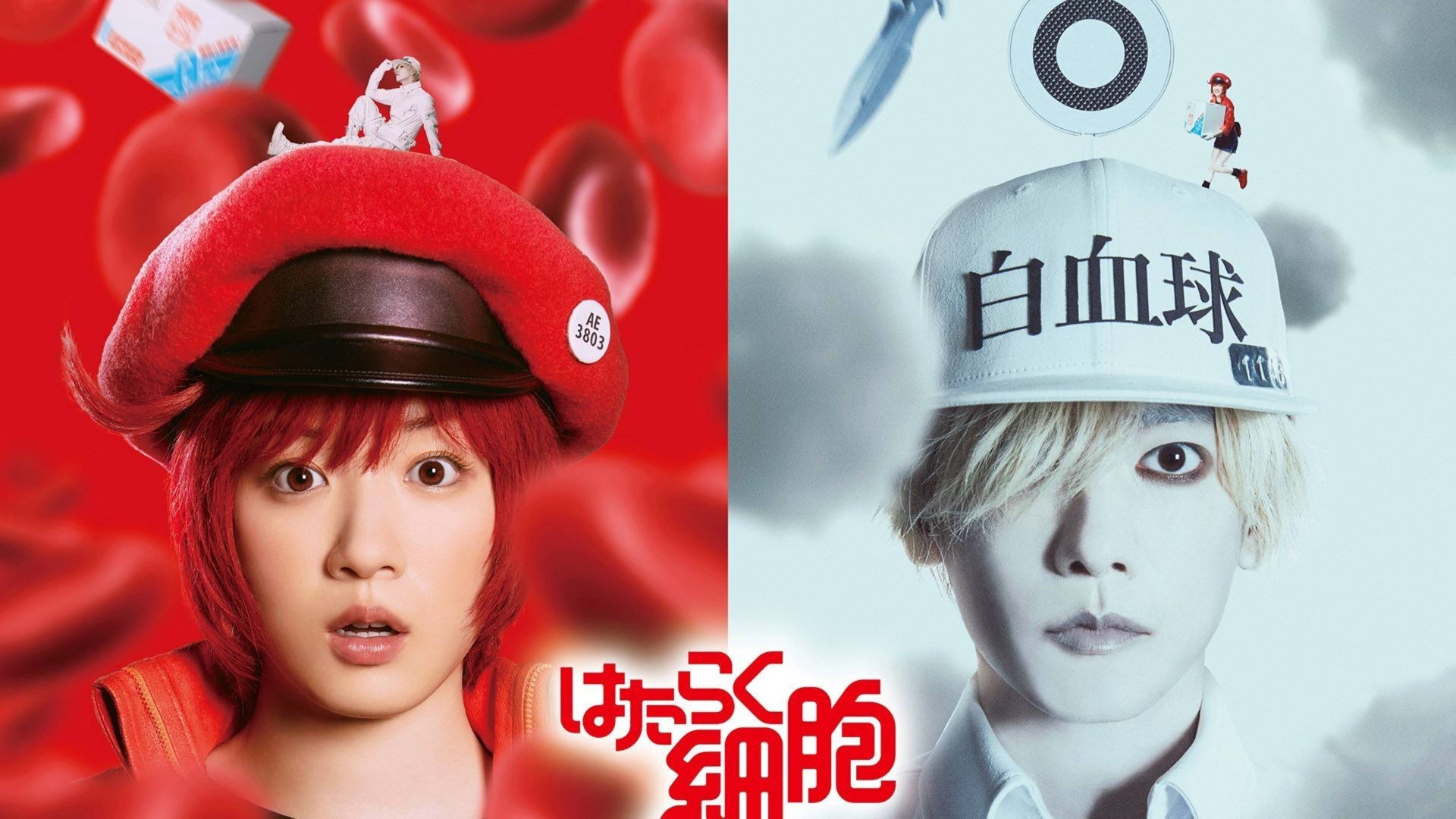 Клетки за работой (2024) / Hataraku saibou / Cells at Work смотреть онлайн