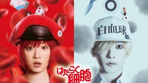 Клетки за работой (2024) / Hataraku saibou / Cells at Work