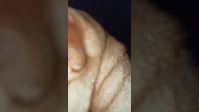 Утро начинается не с кофе 😊