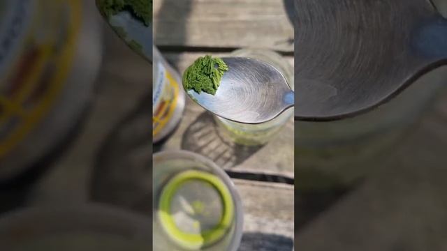 Матча из листьев шелковицы рецепт, чай своими руками смотреть онлайн