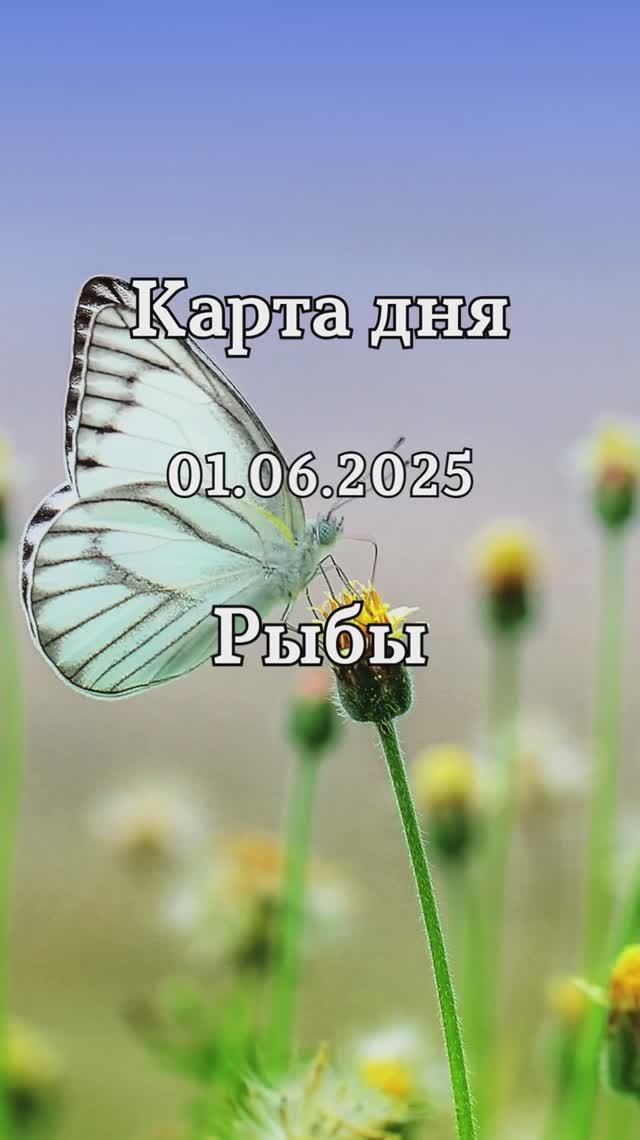 ✨Карта дня 01.06.2025✨ Рыбы смотреть онлайн