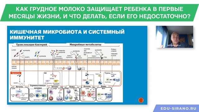 18.10.2024 17:30 Как грудное молоко защищает ребенка в первые