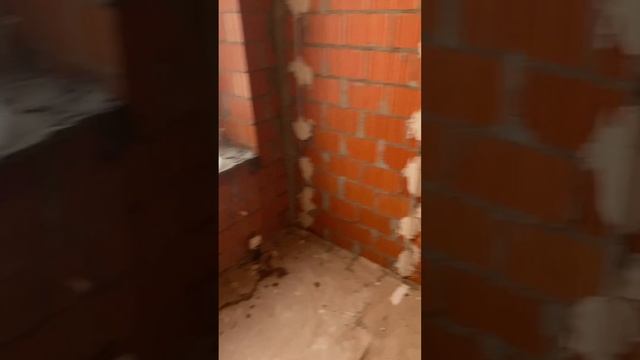 3 дня и штукатурка стен готова