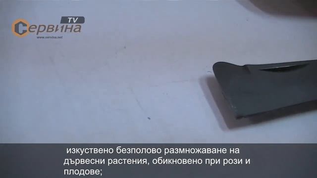 Нож за ашладисване-облагородяване-присаждане Ausonia AU3200