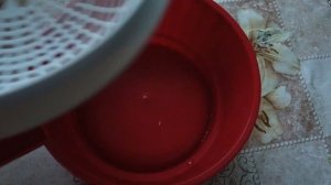 Творог из козьего молока. Самый простой способ.