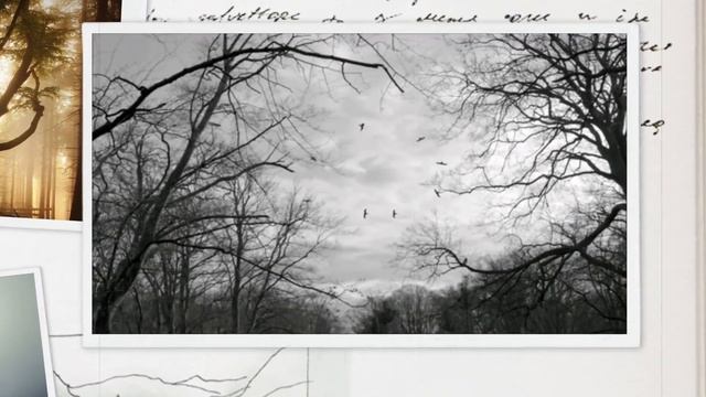 Другая сторона... (Музыкальное видео) смотреть онлайн