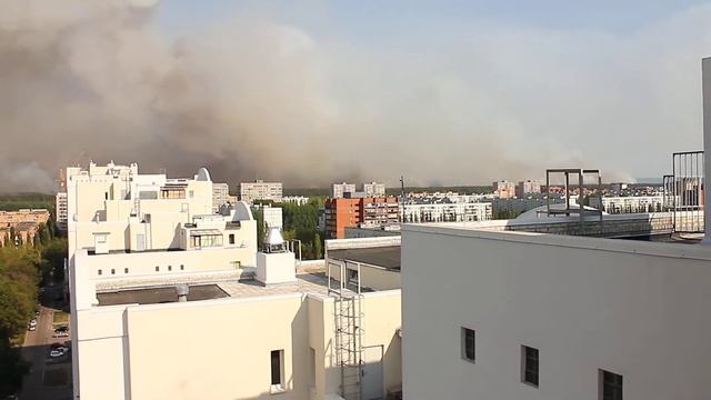 Горит лес в г.Тольятти