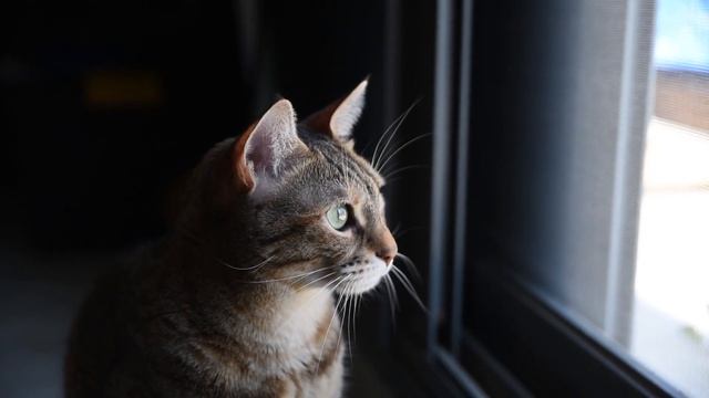 картинка к тексту 1 смотреть онлайн