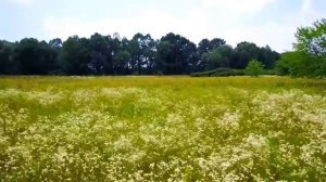 "РОССИЯ - РОДИНА МОЯ" - Олег Ершов. ЭТА ПЕСНЯ ВЗРЫВАЕТ ИН